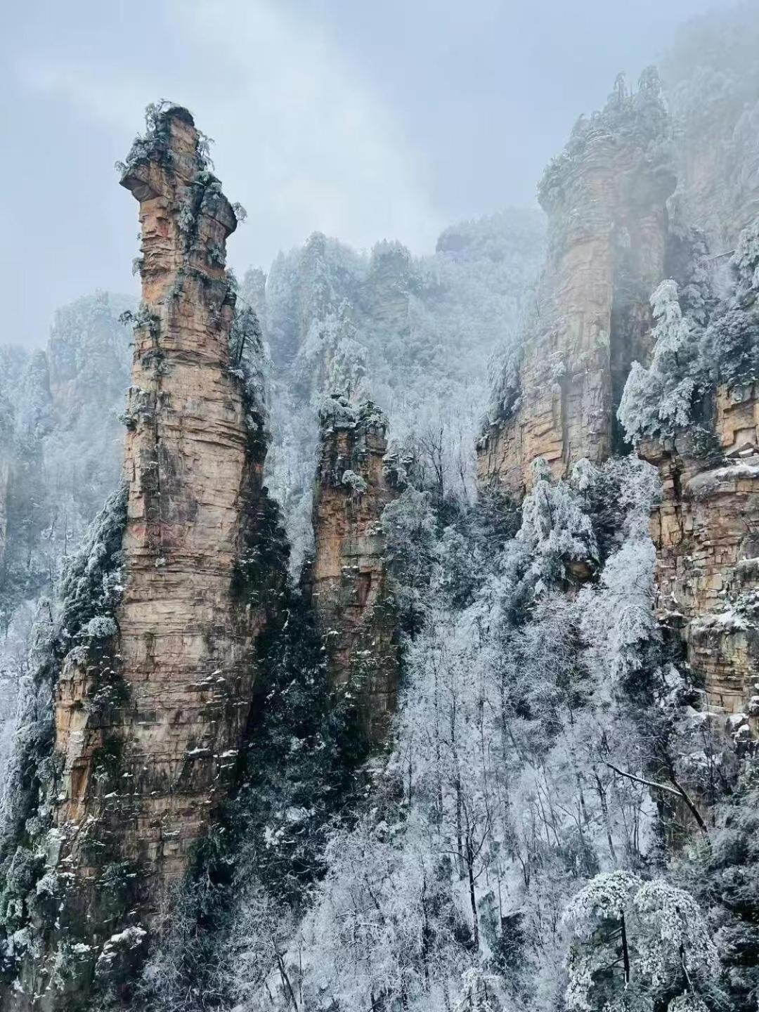 Zhangjiajie Tingyutang Little Yard Exterior photo